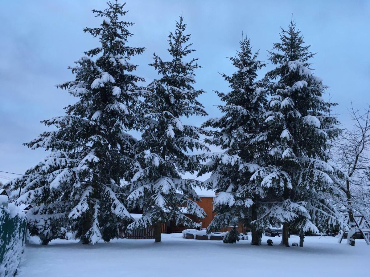 Ubytování U Rybníčka Arnoltice u Děčína Exteriér fotografie